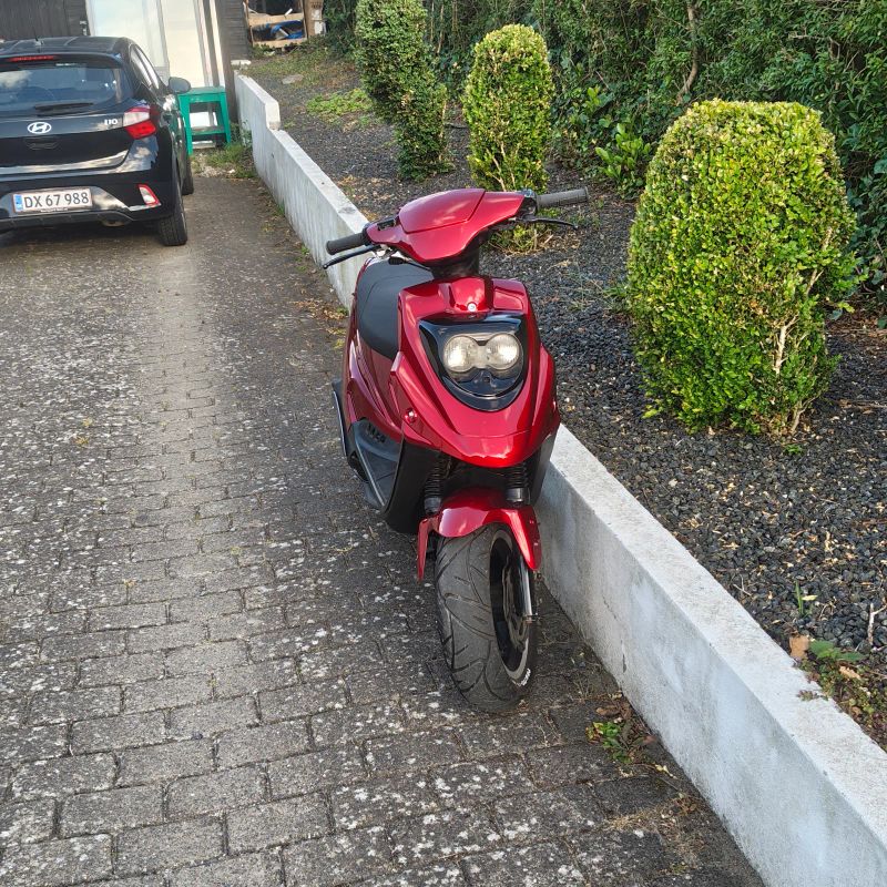 PGO Hot 50